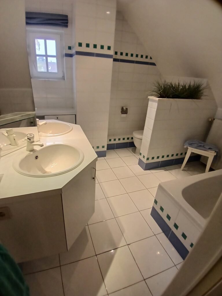Douche vitrée avec carrelage mural grand format – réalisation Espace Salle de Bain